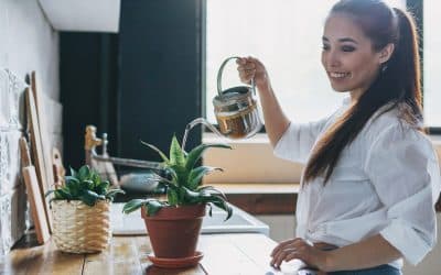 Slow living po polsku. Jak BetterStyle promuje świadomą konsumpcję